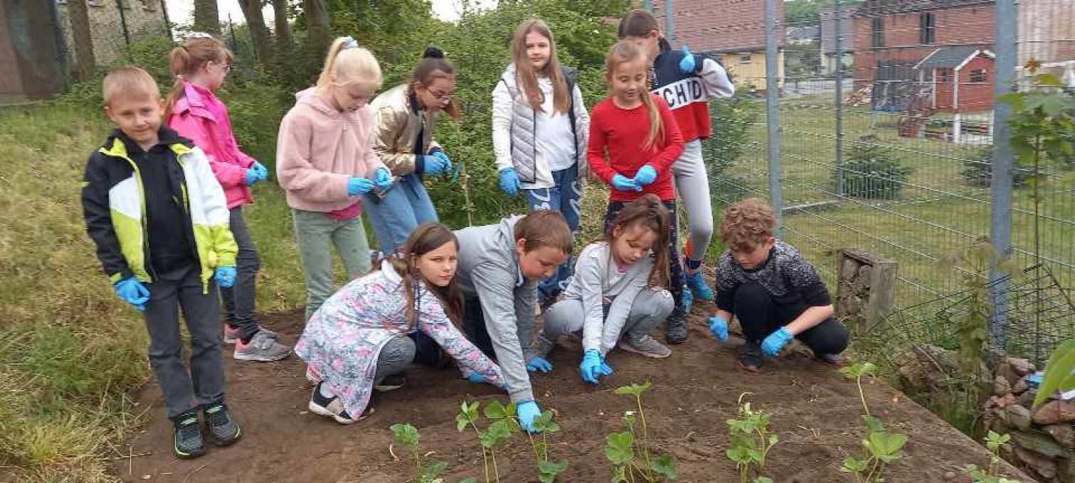 Resized-20220511-105754