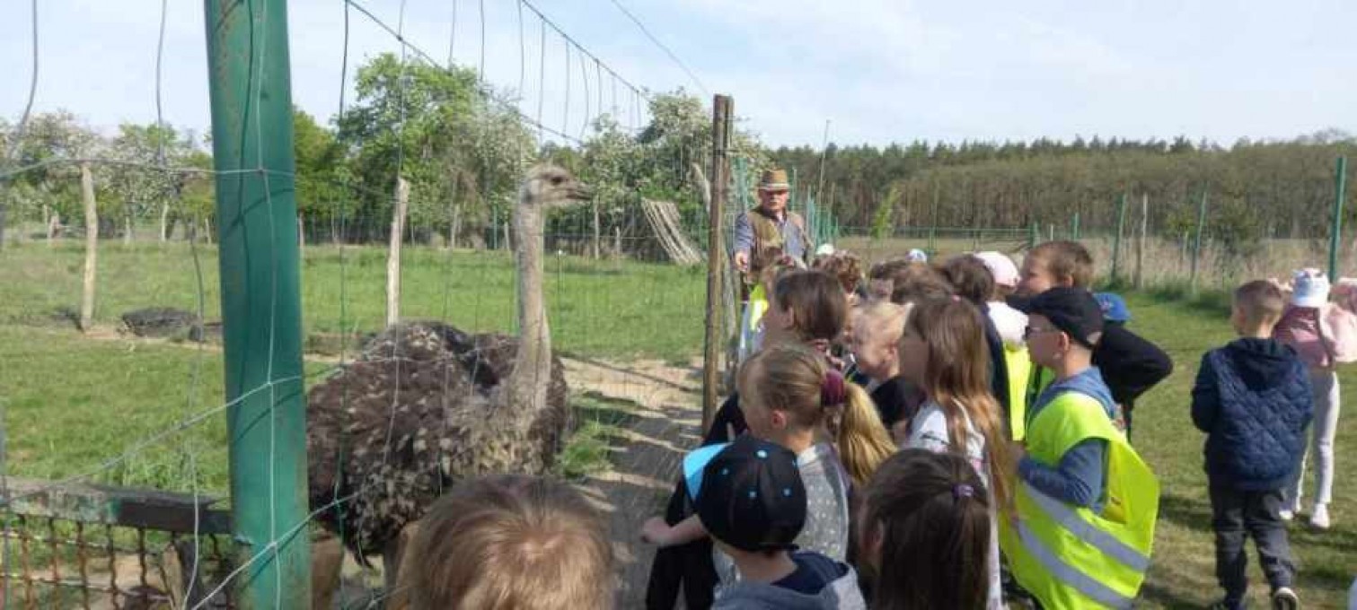 Resized_20220510_094920(1)