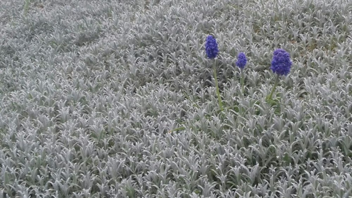 IMG_20220505_185357_01