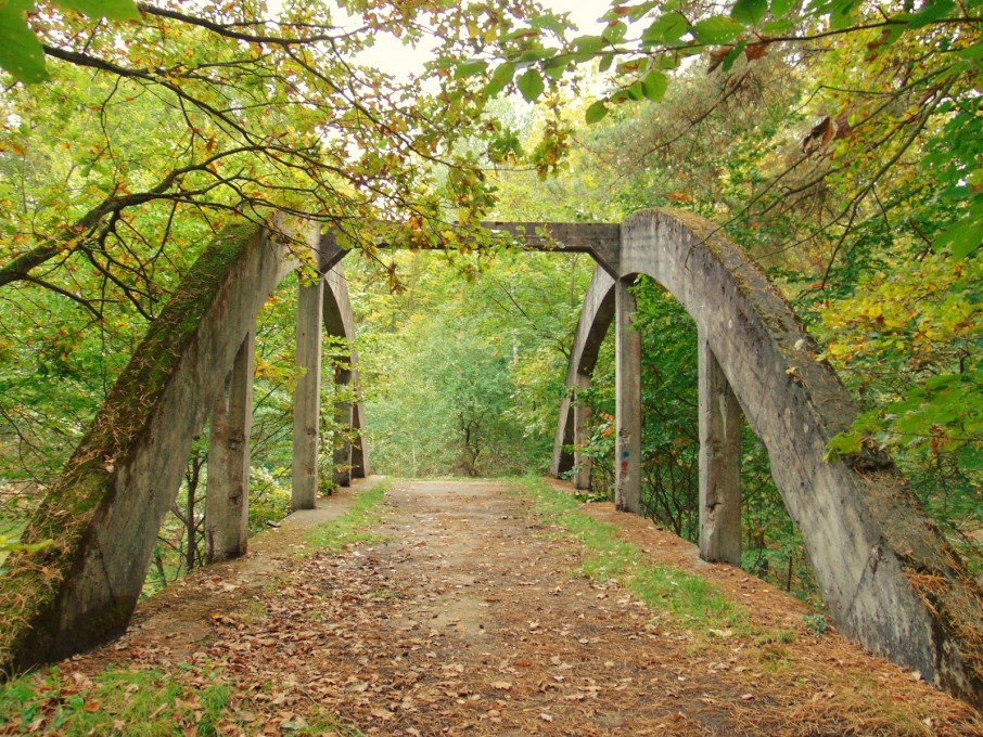 KONKURS-Alicja-Kowalewska