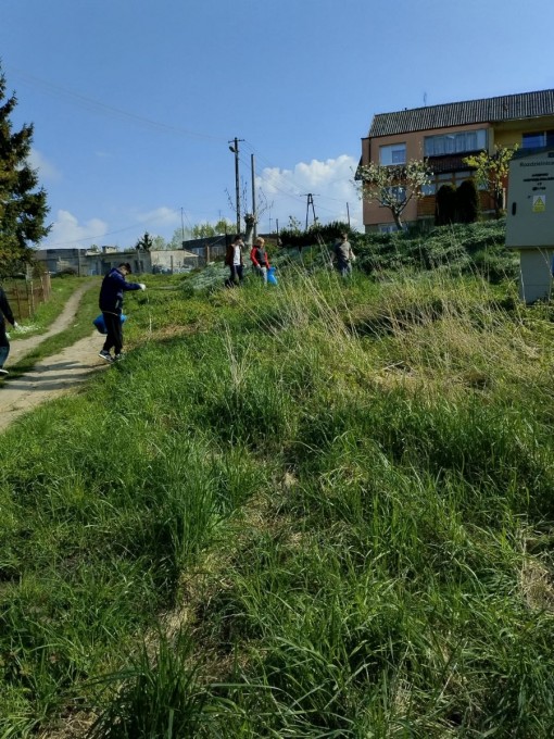 Sprzątanie Ziemi 2024 (30)