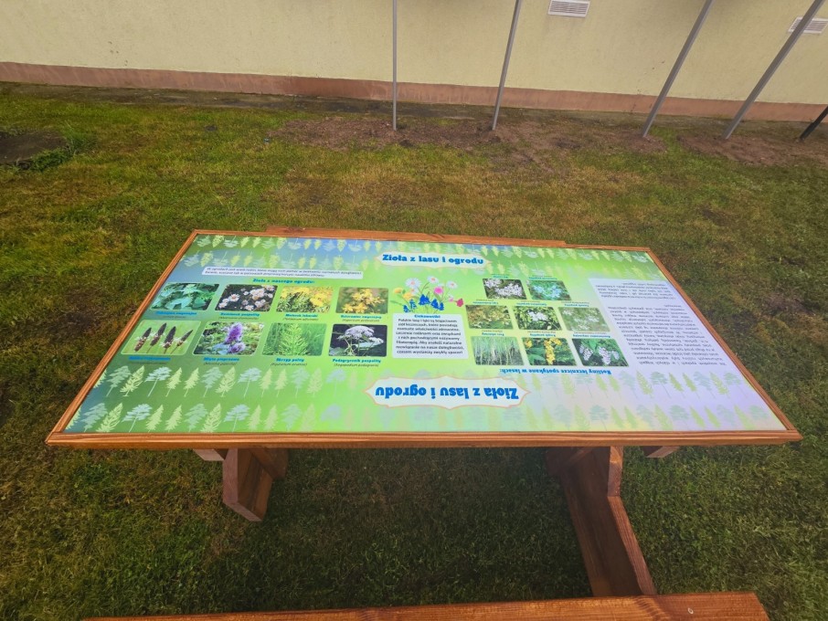 Klasa pod chmurką (3)