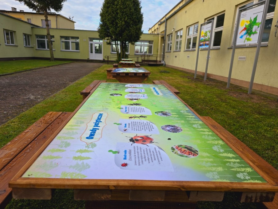 Klasa pod chmurką (6)