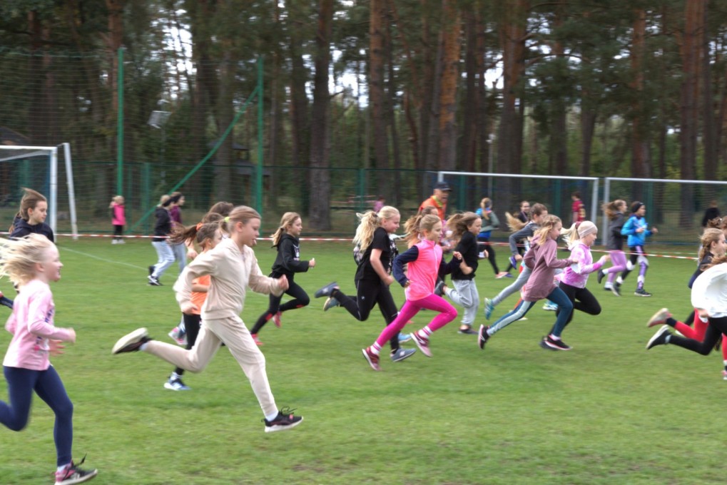 Biegi przełajowe 5.10.2024