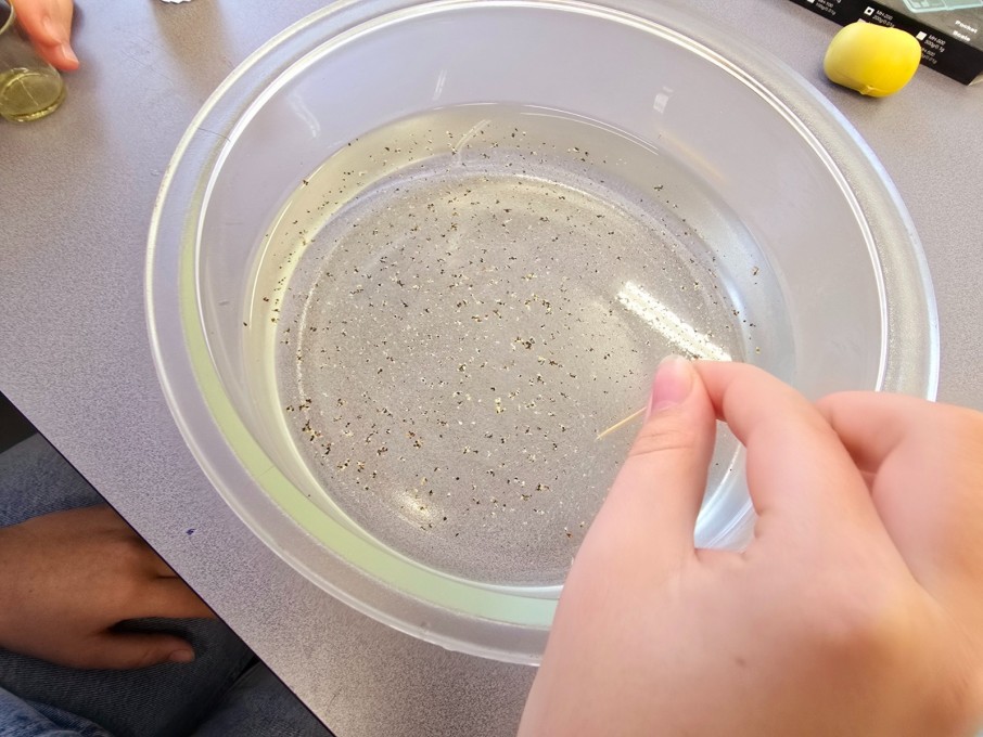 uczeń w centrum uwagi (3)