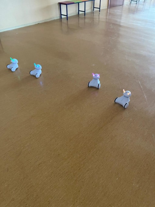 UWCU informatyka (13)