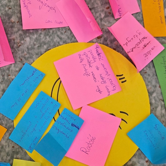 Warsztaty dla wolontariuszy (13)