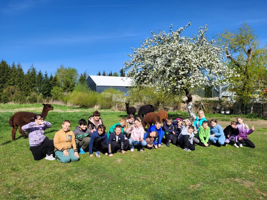 Zielona szkoła Myślibórz (20)