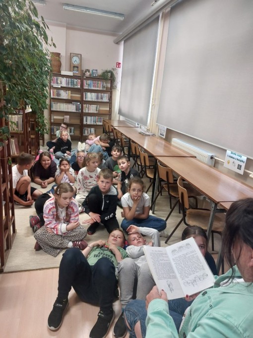 Narodowy program rozwoju czytelnictwa (16)