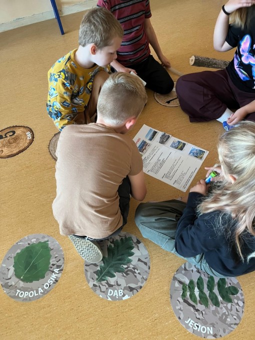 Narodowy program rozwoju czytelnictwa (20)