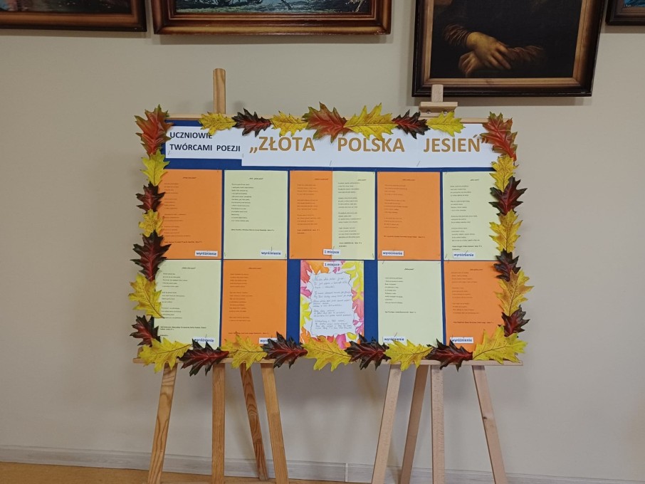 Narodowy program rozwoju czytelnictwa (28)