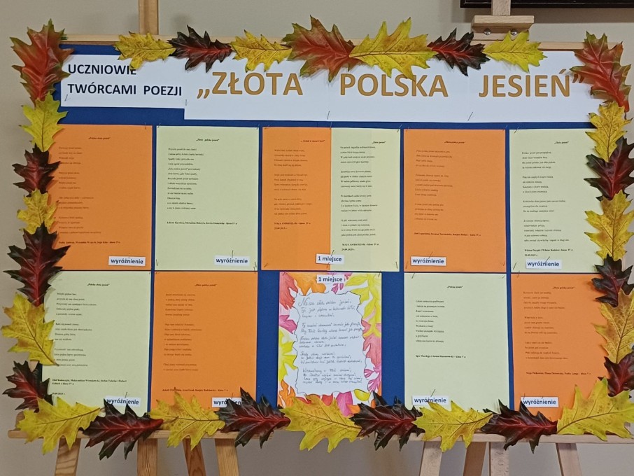 Narodowy program rozwoju czytelnictwa (35)