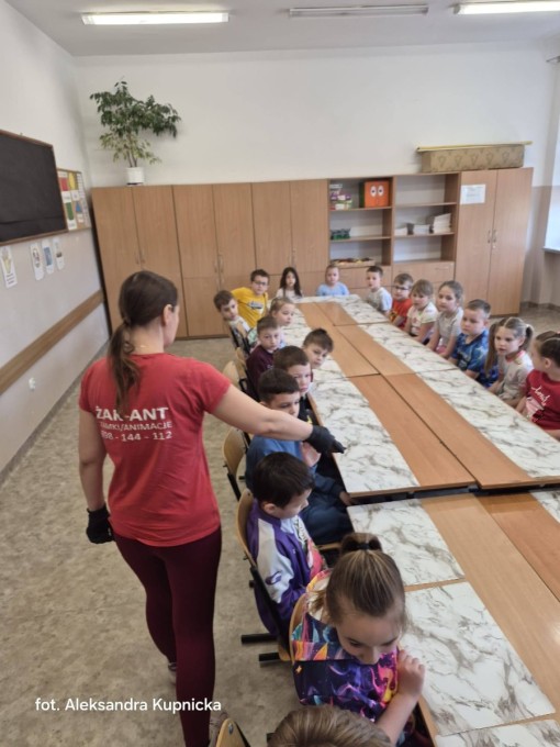 657893434_883892368019751_4212462367704233971_n (5)